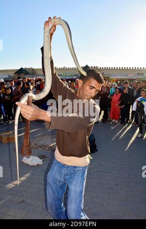 Meknes, Marokko - 19. November 2014: Nicht identifizierter Schlangenbeschwörer auf dem Place el-Hedim durch seine Show, eine traditionelle Art von Straßenkünstler Stockfoto