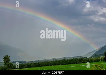 Ein großer Regenbogen taucht aus den Wolken über einem Apfelanbaugebiet im Vinschgau, Prato am Stilfserjoch, Italien, auf Stockfoto