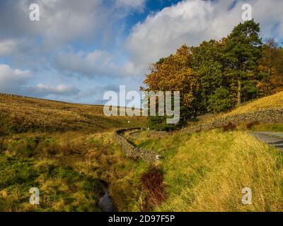 Langber Lane in West Yorkshire niederzulassen Stockfoto