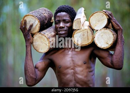 Malawi: Holzhändler schneiden Brennholz und bringen sie mit ihren Fahrrädern zu Märkten in Lilongwe/Malawi Stockfoto