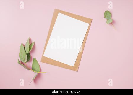 Leeres Papier und Eukalyptuszweig auf rosa Hintergrund. Stockfoto