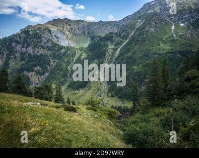 Triebe von einem Trekking im Aostatal Stockfoto