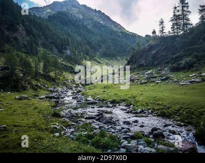 Triebe von einem Trekking im Aostatal Stockfoto