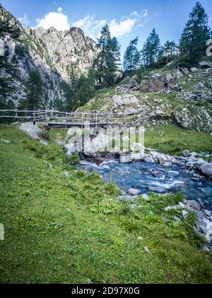 Triebe von einem Trekking im Aostatal Stockfoto