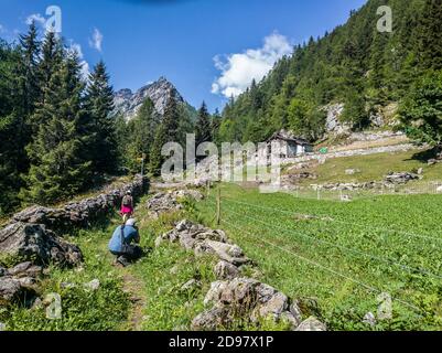 Triebe von einem Trekking im Aostatal Stockfoto