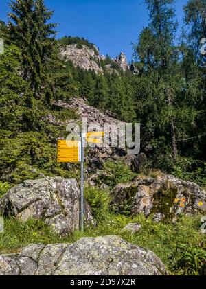 Triebe von einem Trekking im Aostatal Stockfoto