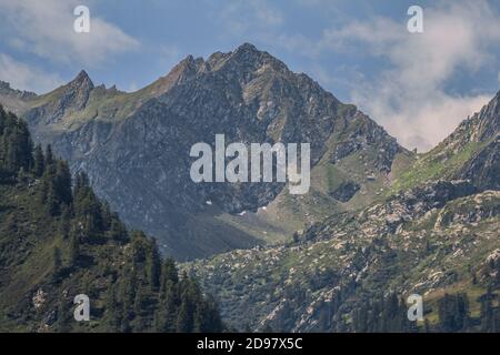 Triebe von einem Trekking im Aostatal Stockfoto