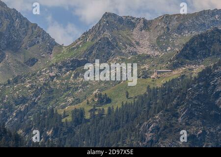 Triebe von einem Trekking im Aostatal Stockfoto