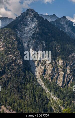 Triebe von einem Trekking im Aostatal Stockfoto