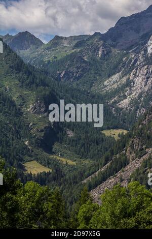 Triebe von einem Trekking im Aostatal Stockfoto