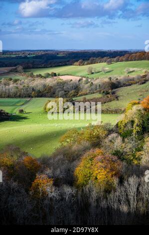 Dramatische Herbstsonnen fallen über die hügelige Landschaft von Hampshire, typisch für den South Downs Nationalpark in England. Blick von Old Winchester Stockfoto