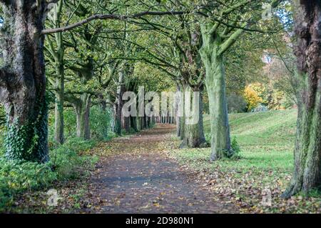 Rund um Großbritannien - Riverside Fußweg bei Frenchwood, der zum Avenham Park, Preston, Großbritannien führt Stockfoto