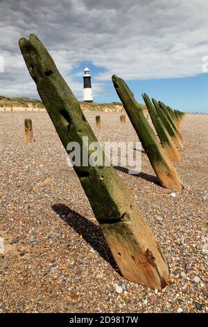 Holzschutz und Leuchtturm am Spurn Point, in der Nähe von Kilnsea, East Yorkshire, Großbritannien. Stockfoto