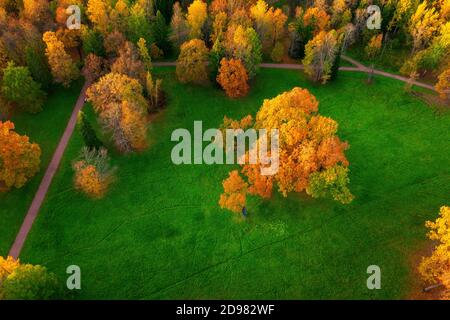 Orangefarbener Herbstbaum auf einer hellgrünen Wiese im Park. Hochwinkelige Luftaufnahme Stockfoto