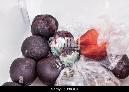 Faules und schimmeliges Obst und Gemüse in der Kühlschrankschublade Stockfoto