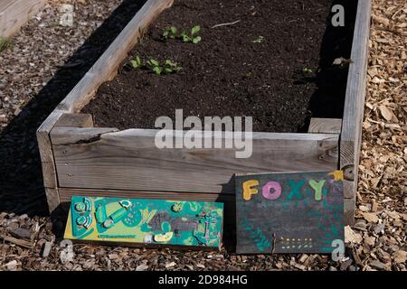 Stadtgärten mit Mini-Bibliothek, Spiralschlauch, Enten & Gänse, Gemüse, Blumen, Grünkohl, Sonnenblumen, Tomaten, Paprika und Kupferrohrleitungen für Wasser. Stockfoto