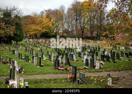 Weitwinkelaufnahme mit Blick auf Reihen von Grabsteinen in Ein Friedhof Stockfoto