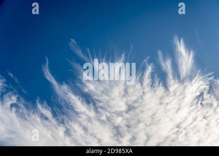 Ausgefranste Zirruswolken am tiefblauen Himmel Stockfoto