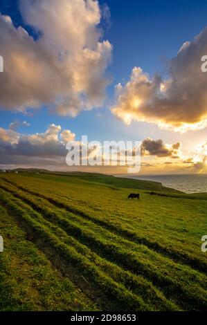 Panoramabild eines Golfs an der kantabrischen Küste Spaniens, umgeben von grüner Natur und Felsen. Meer in bewölktem stürmischen Tag Stockfoto