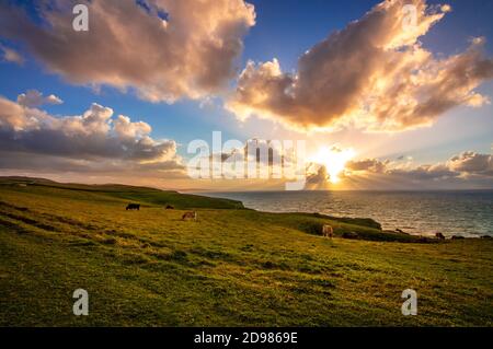 Panoramabild eines Golfs an der kantabrischen Küste Spaniens, umgeben von grüner Natur und Felsen. Meer in bewölktem stürmischen Tag Stockfoto