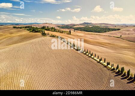 Luftaufnahme der goldenen Felder der Toskana in Siena Provinz Italien mit Zypressenstraße. Stockfoto