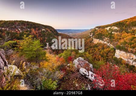 Cloudland Canyon, Georgia, USA Herbst Landschaft in der Abenddämmerung. Stockfoto