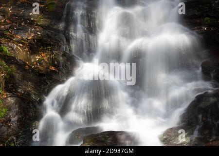 Amicalola Falls State Park, Georgia, USA. Stockfoto