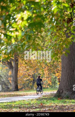 Ein Radfahrer radeln durch den Kissena Park inmitten der schönen Herbstfarben. In Flushing, Queens, New York City. Stockfoto