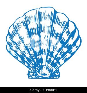 Seashell isolierte, handgezeichnete Doodle-Skizze im Holzschnitt-Stil, Illustration Stockfoto