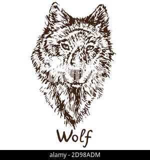 Grauer Wolf (Holzwolf oder Westernwolf) Porträt, skizzieren einfache Doodle Zeichnung mit Inschrift, Tiefdruck-Stil Stockfoto