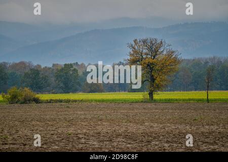 Neblige bunte Herbstlandschaft am Fuße der Eule Berge Niederschlesien Gory sowie luxuriöse Herbstfarben Stockfoto