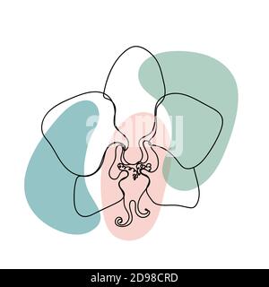 Blume in einem linearen Stil auf weißem Hintergrund. Stock Vektor