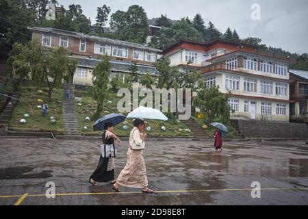 Dharamsala, Indien Juli 2009. Tibetisches Kinderdorf in McLeod Ganj, bekannt als Little Lhasa oder Dhasa, Heimat vieler Tibeter und Heimat des Dalai La Stockfoto