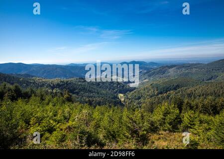 Blick vom Hochmoor Kaltenbronn ins Murgtal, Baden-Württemberg, Deutschland, Europa Stockfoto