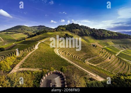 Blick vom Schloss Ortenberg auf Weinberge und den Schwarzwald Ortenberg, Baden Württemberg, Deutschland Stockfoto