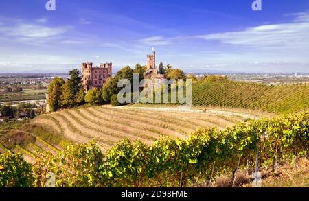 Blick auf das Schloss Ortenberg umgeben von Weinbergen Ortenberg, Baden Württemberg, Deutschland Stockfoto