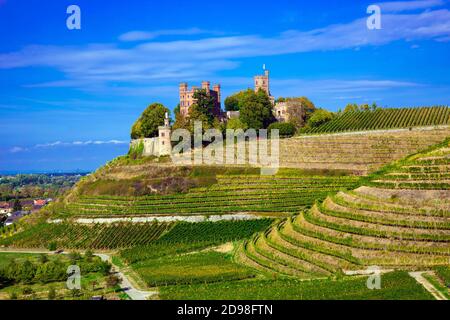 Blick auf das Schloss Ortenberg umgeben von Weinbergen Ortenberg, Baden Württemberg, Deutschland Stockfoto