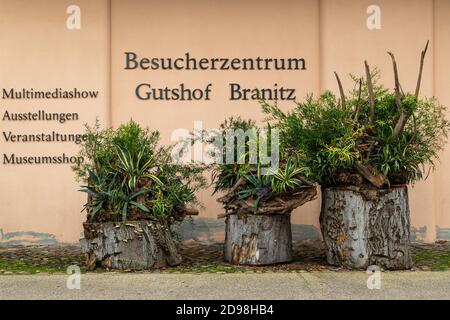 Fürst Pückler Park und Schloß Branitz, Prinz Pückler, Schloss- und Schlosspark, Cottbus, Brandenburg, Ostdeutschland, Deutschland, Europa Stockfoto