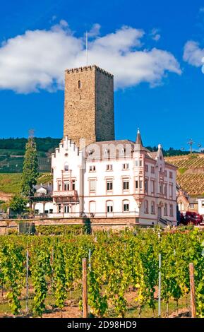 Schloss Boosenburg, Rüdesheim am Rhein, Mittelrheintal, UNESCO Weltkulturerbe, Rheinland-Pfalz, Deutschland, Europa Stockfoto