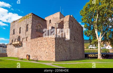 Schloss Brömser, Weinmuseum, Weingut und Weinberge in Rüdesheimer Stadt am rheintal. Hessen, Deutschland, Europa Stockfoto