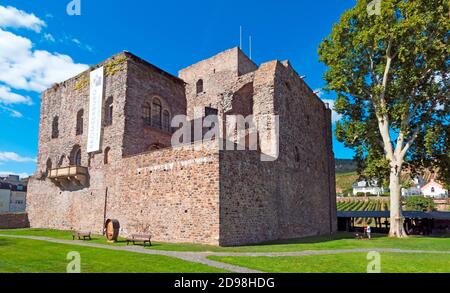 Schloss Brömser, Weinmuseum, Weingut und Weinberge in Rüdesheimer Stadt am rheintal. Hessen, Deutschland, Europa Stockfoto