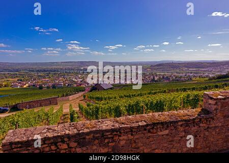 Blick vom Kloster St. Hildegard über die Weinberge nach Rüdesheim, gegründet von Hildegard von Bingen, Benediktinerabtei, Eibingen bei Rüdesheim, Dio Stockfoto