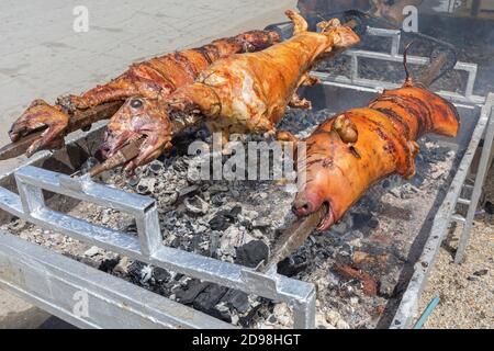 Braten Schweine und Lämmer über Kohle bei Rotisserie Spit Stockfoto