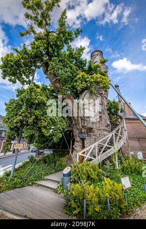 ALLOUVILLE BELLEFOSSE, FRANKREICH - SEPTEMBER CIRCA, 2020. Die älteste Eiche 1200 Jahre alt. Mit einer kleinen Kirchenkapelle im Kofferraum. Berühmter Ort zu besuchen Stockfoto