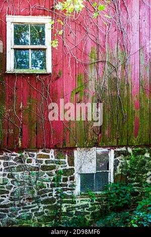 Scheune Wall mit Steinfundament und Fenstern Stockfoto