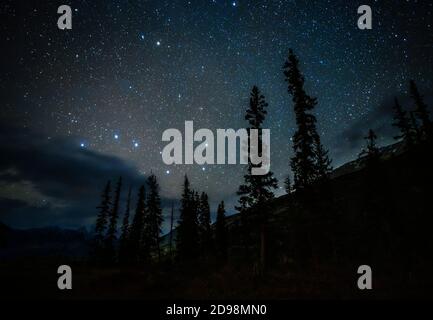 Nachthimmel mit dem Sternbild Big Dipper mit dem Silhouette von Pinien und Berghang Stockfoto