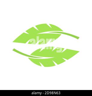 Zwei grüne Blätter. Vektor-Illustration mit flachem Design Stock Vektor
