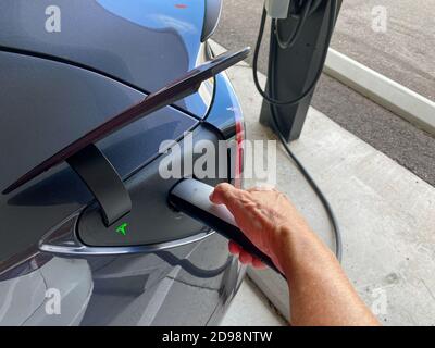Orlando,FL/USA-8/6/20: Eine Person, die einen grauen Tesla an eine Ladestation einsteckt. Stockfoto