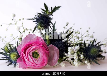 Zart und stachelig kombiniert, rosa Ranunculus, blaue Disteln und weiße Gipsophila Stockfoto