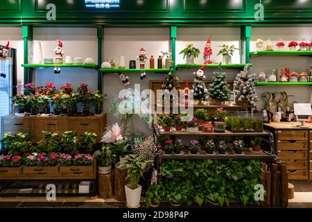 Verkaufsdisplay mit floristischem Stand mit Mini-Weihnachtsbäumen und frischen Pflanzen in Blumentöpfen. Weihnachtsverkauf von Blumenarrangements in Shanghai, China, Stockfoto